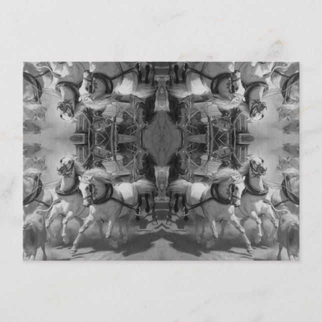 Horses –Pferde – Marmor Marmo marble marbre Begleitkarte (Vorderseite)