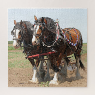 Horses Plowing Puzzle