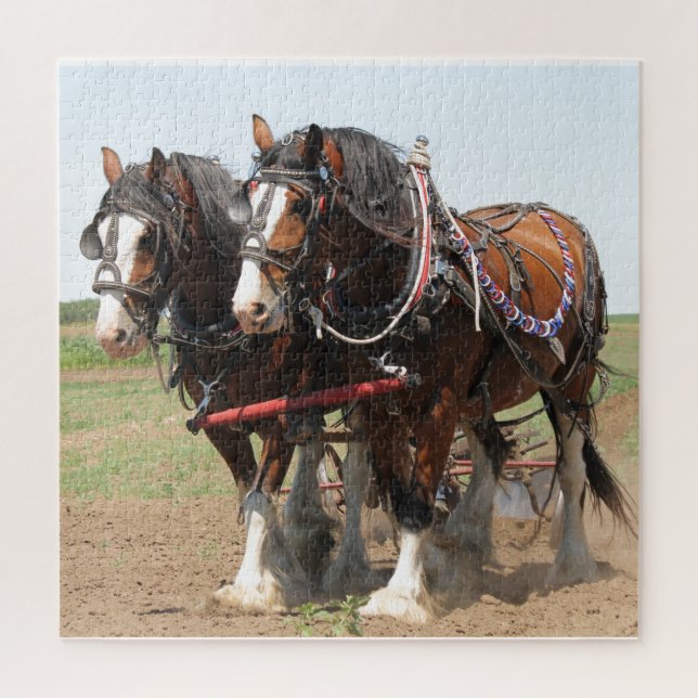 Horses Plowing Puzzle (Vertikal)