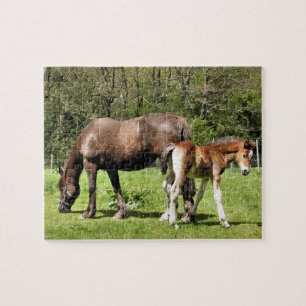 HORSES PUZZLE
