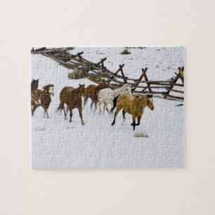 Horses Running in Snow Puzzle