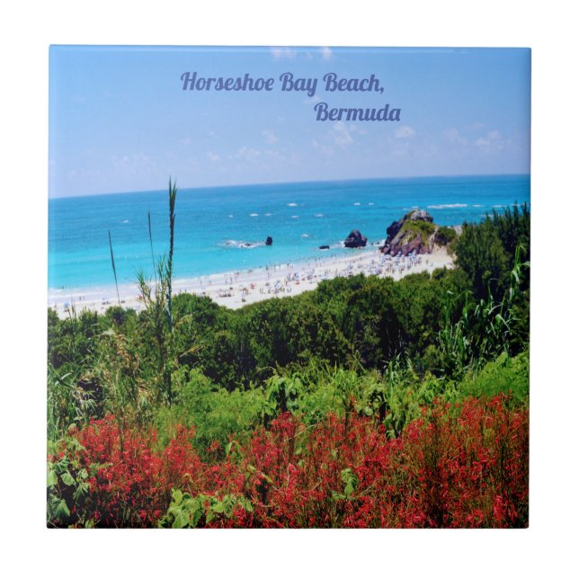 Horseshoe, Bay Beach, Bermuda Fliese (Vorderseite)