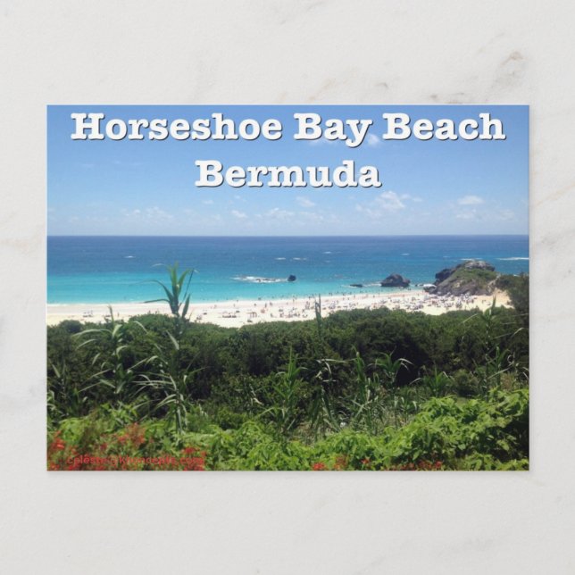 Horseshoe Bay Beach, Bermuda Postkarte (Vorderseite)