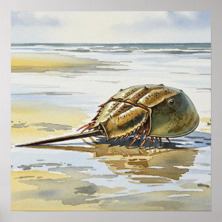 Horseshoe Crab Crawling Zuhause Poster
