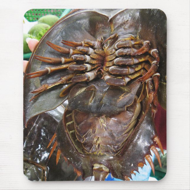 Horseshoe Crab ... Thai Asian Street Food Mousepad (Vorne)