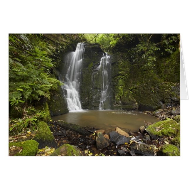 Horseshoe Falls, Matai Falls (Vorderseite (Horizontal))