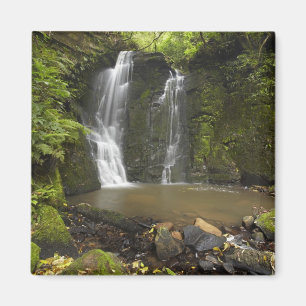 Horseshoe Falls, Matai Falls Magnet