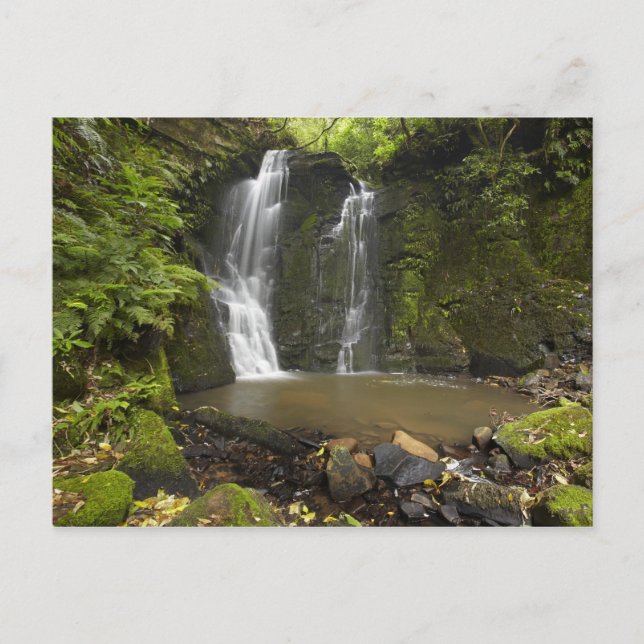 Horseshoe Falls, Matai Falls Postkarte (Vorderseite)