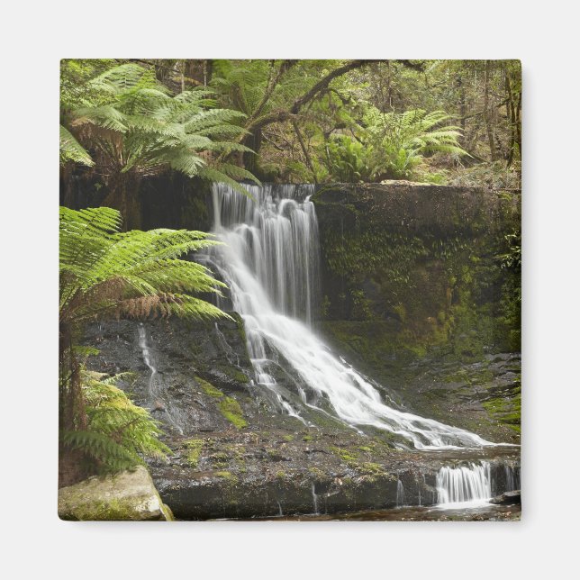 Horseshoe Falls, Mount Field National Park, Magnet (Vorne)