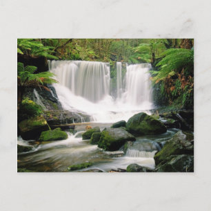 Horseshoe Falls Tasmania Postkarte