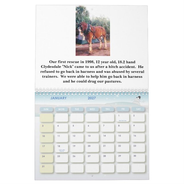HORSESISTERS 2010 KALENDER (Jan 2027)