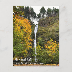 Horsetail Falls, Columbia River Gorge, Oregon Post Postkarte