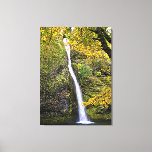 Horsetail Falls, Columbia River Schlucht, Oregon Leinwanddruck