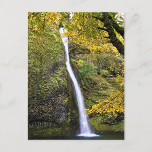 Horsetail Falls, Columbia River Schlucht, Oregon Postkarte