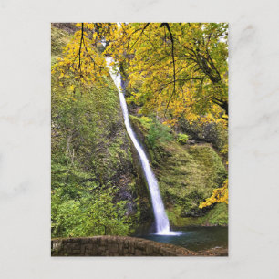 Horsetail Falls, Columbia River Schlucht, Oregon Postkarte