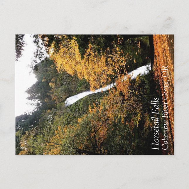 Horsetail Falls, Oregon Postkarte (Vorderseite)