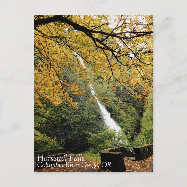 Horsetail Falls, Oregon Postkarte (Vorderseite)