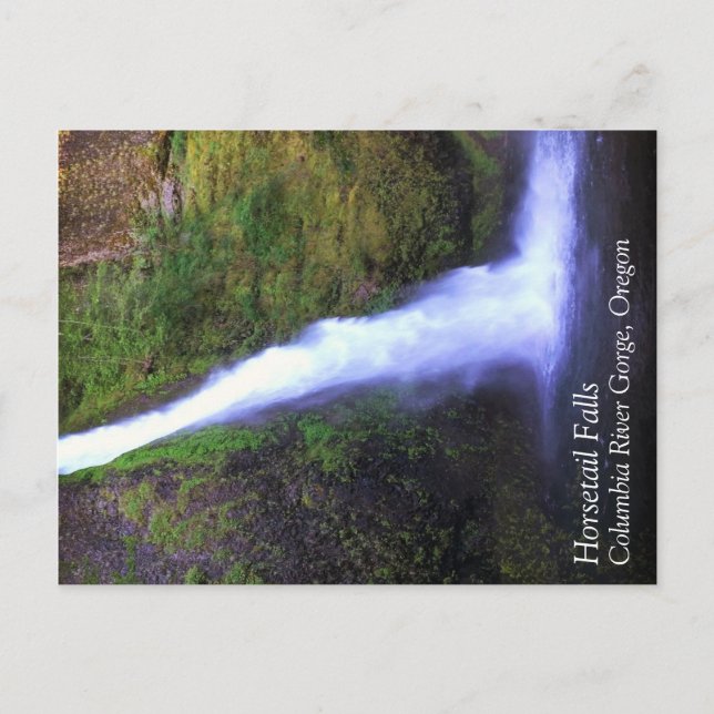 Horsetail Falls, Oregon Postkarte (Vorderseite)