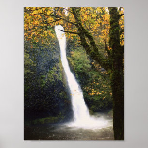 Horsetail Falls Poster