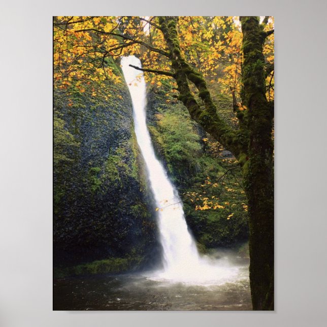 Horsetail Falls Poster (Vorne)