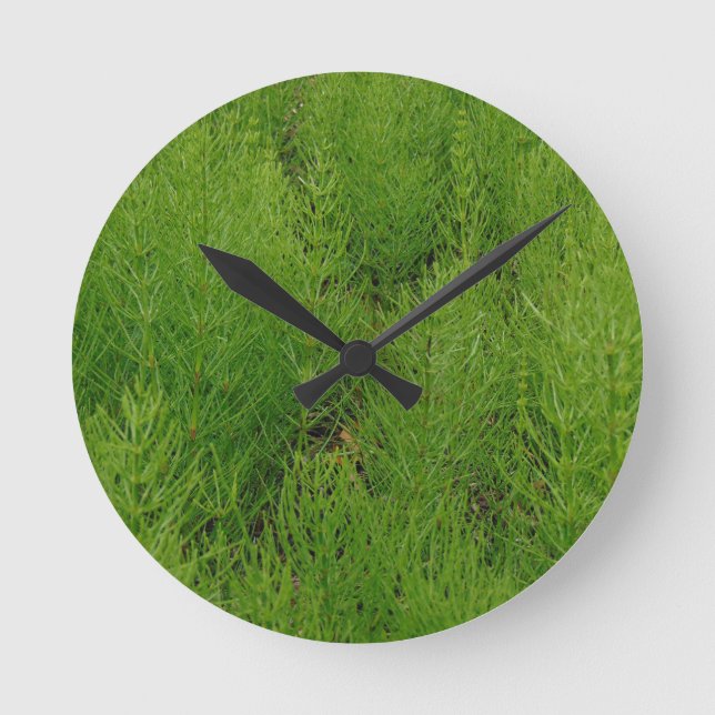 Horsetail-Farne Runde Wanduhr (Vorderseite)