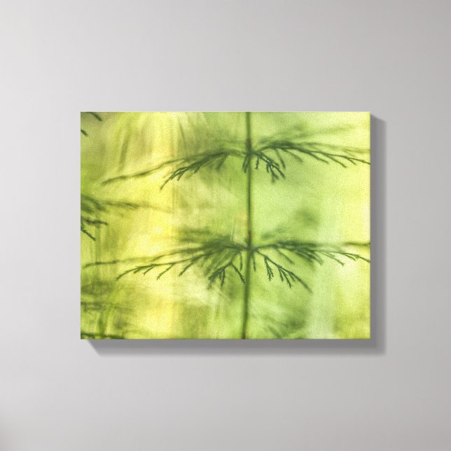 Horsetail Nature Foto Leinwanddruck (Vorderseite)