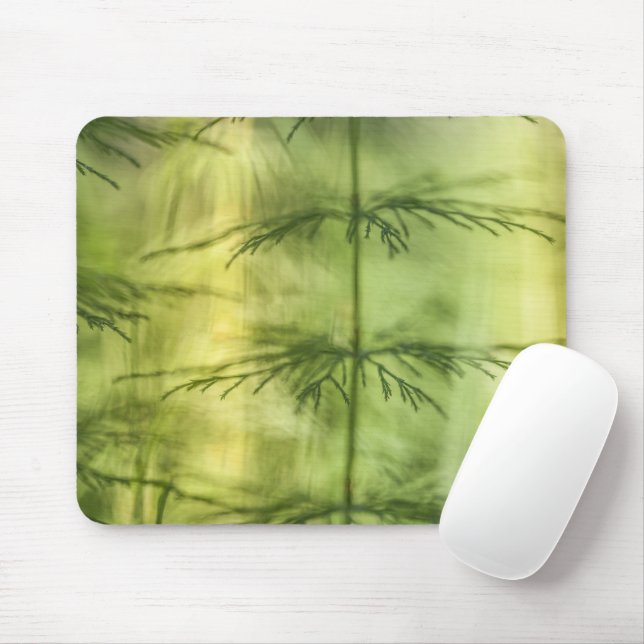 Horsetail Nature Foto Mousepad (Mit Mouse)
