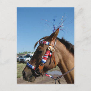 Horsey 4th postkarte