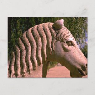 Horsey Postkarte