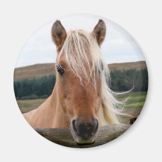Horsie Magnet