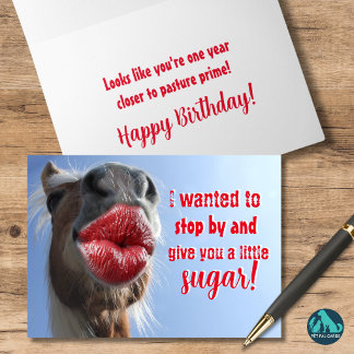 Horsin ist für deinen Geburtstag da Karte