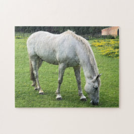 Horst Jigsaw - Ein Weiße Pferde im Feld Puzzle