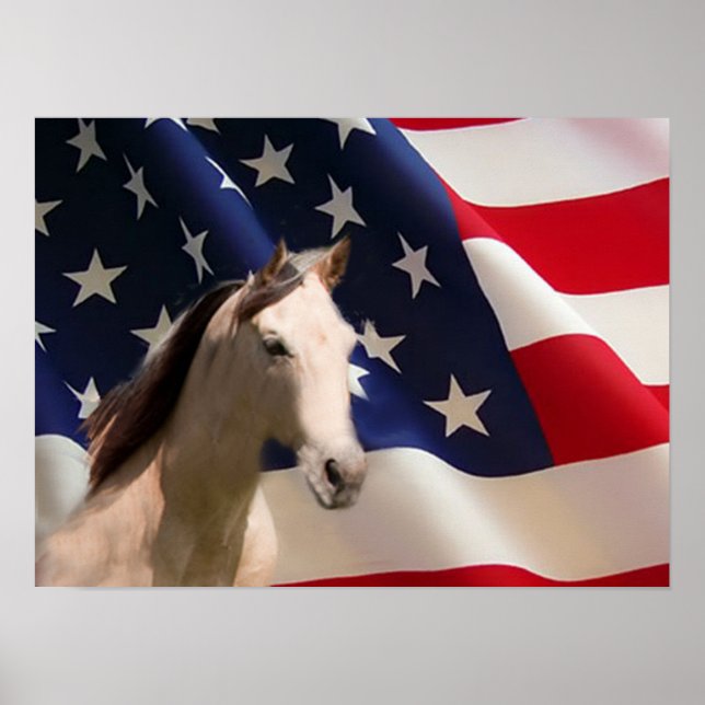 Horst Poster American Flag (Vorne)