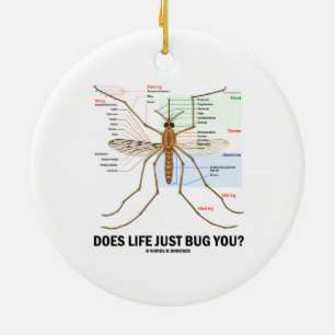 Hört das Leben Sie gerade ab? (Moskito-Anatomie) Keramikornament