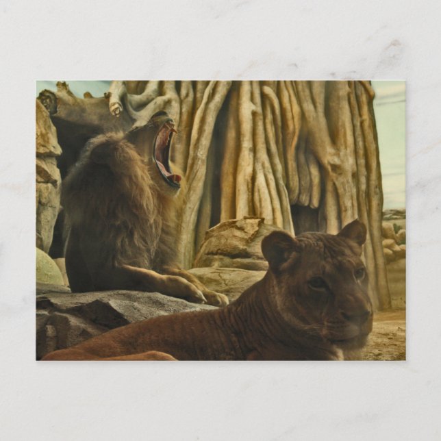 Hört mich Roar! Postkarte (Vorderseite)