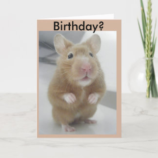 Hörte ich nach rechts? karte