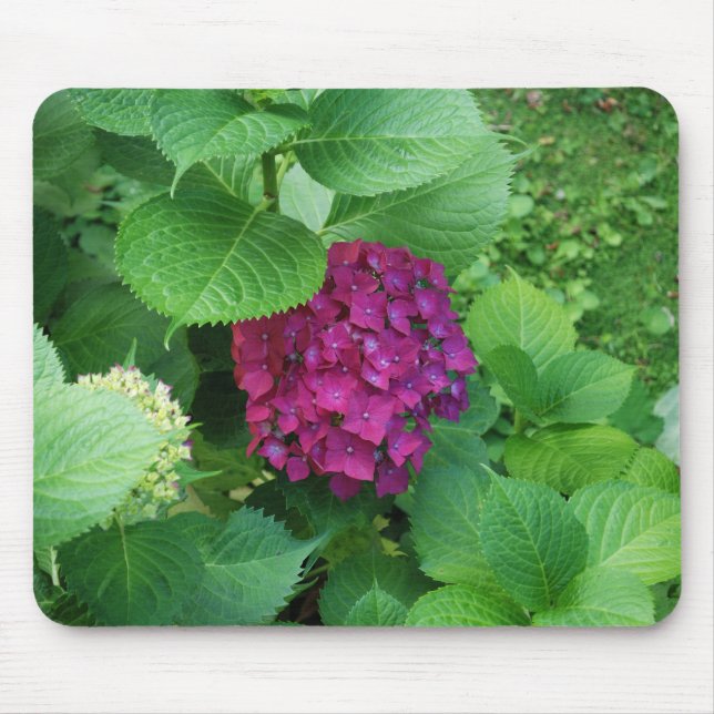 Hortensia-Auflage Mousepad (Vorne)