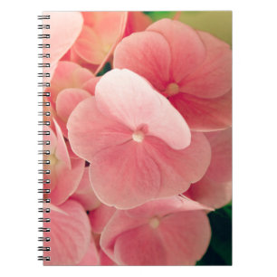 Hortensia Hydrangea rosa pastellfarbene Blume Notizblock