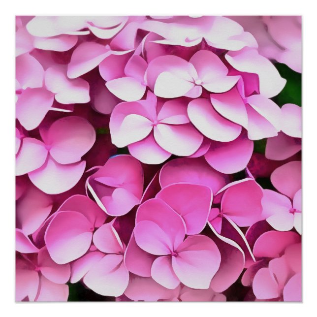 Hortensia Pink Petals Artistic Abstrakt Poster (Vorderseite)