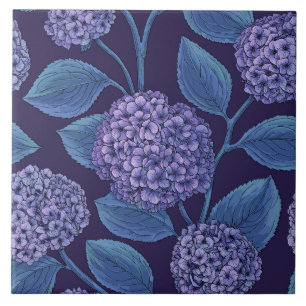 Hortensie in violett und blau fliese