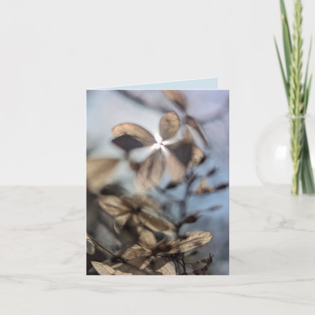 Hortensie Karte (Vorderseite)