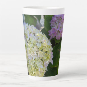 Hortensie Milchtasse
