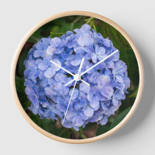Hortensie Uhr