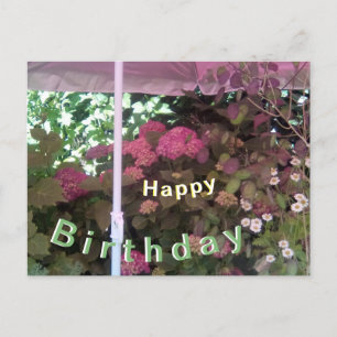 Hortensie unter Sonnenschirm Happy Birthday Postka Postkarte