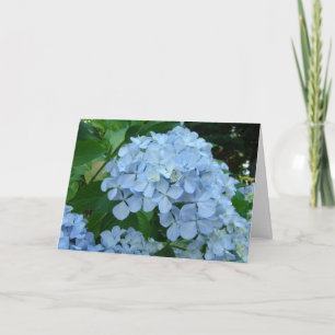 Hortensien-Blumenkarten Blaue Hortensien Garten Dankeskarte