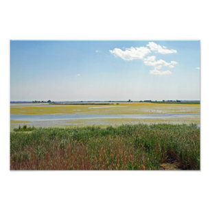 Hortobagy National Park, Ungarn Fotodruck