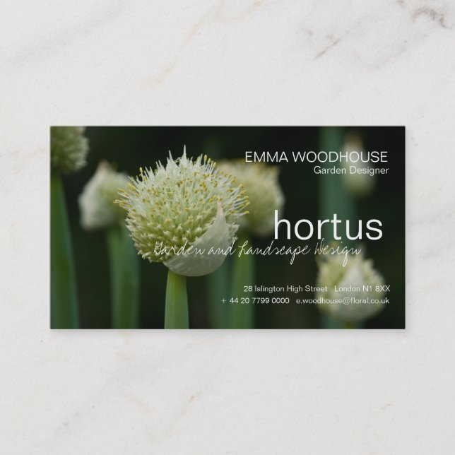 Hortus - Allium Business Card Visitenkarte (Vorderseite)
