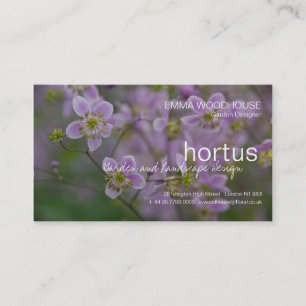Hortus - Thalictrum-Visitenkarte Visitenkarte