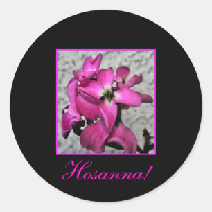 Hosanna! Rosa Blumenaufkleber Runder Aufkleber