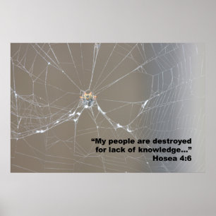 Hosea 4:6 Schrifts-Plakat, Version D Poster